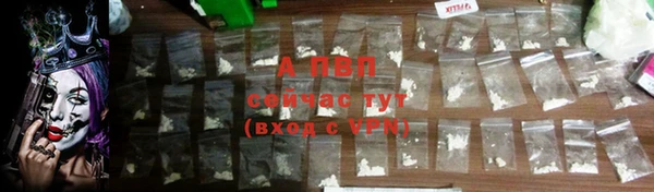 дживик Пересвет