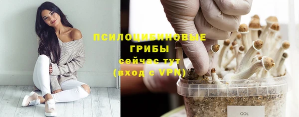бошки Переславль-Залесский