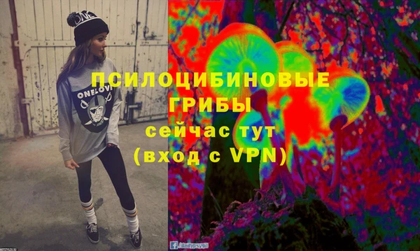 дживик Пересвет