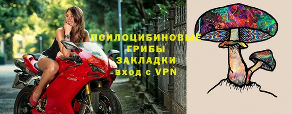 дживик Пересвет