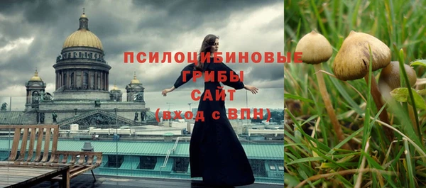 бошки Переславль-Залесский
