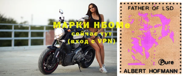 дживик Пересвет