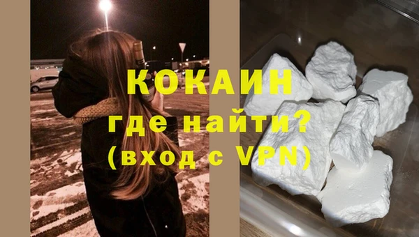 дживик Пересвет