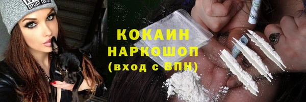 дживик Пересвет